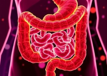 Gut Microbiota Shapes Stem Cell Response to Obesity — Medicine