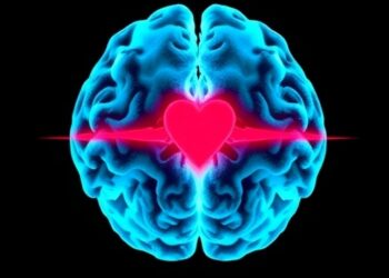 Heart Attacks Profoundly Alter Brain Function: New Insights — Social Science
