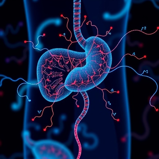 Hepatic SNHG9 Connects Gut Microbiota to Liver Defense — Medicine