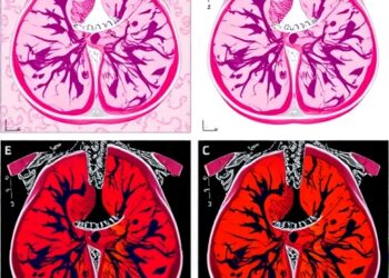 Hierarchical Tissue-Specific Modeling of Pathology Images Predicts Treatment Response in HER2-Positive Breast Cancer — Medicine