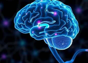 How One Protein Uses Embryonic Brain Language to Maintain Plasticity in Adult Neurons — Biology