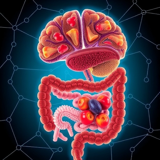 How the Gut Reprograms the Brain to Crave Essential Nutrients — Biology