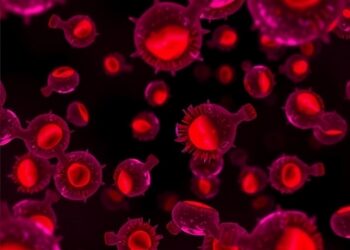 Human Blood Stem Cells Retain Inflammatory Memory — Medicine