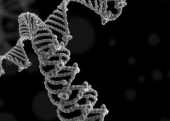 Human RNA m5C Methyltransferase NSUN2 Specificity — Medicine