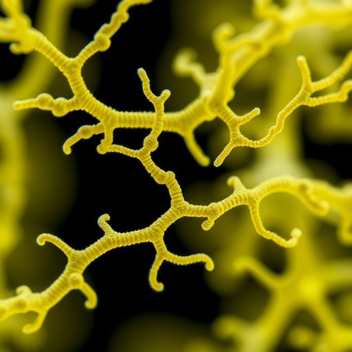 Hybrid Bioprinting Creates Capillary-Scale Vascular Networks — Technology and Engineering