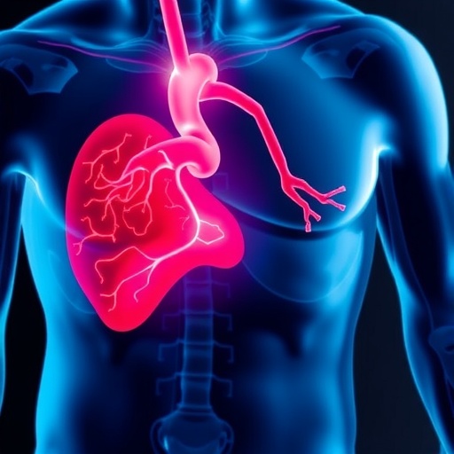 Hypertension’s Hidden Impact on Obesity-Linked Atherosclerosis — Medicine
