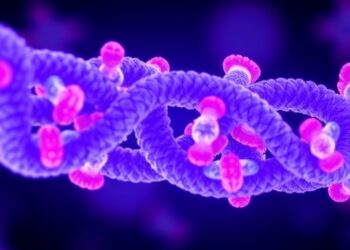 Inherited Long Telomeres Linked to Increased Risk of Lymphoid Cancers — Cancer