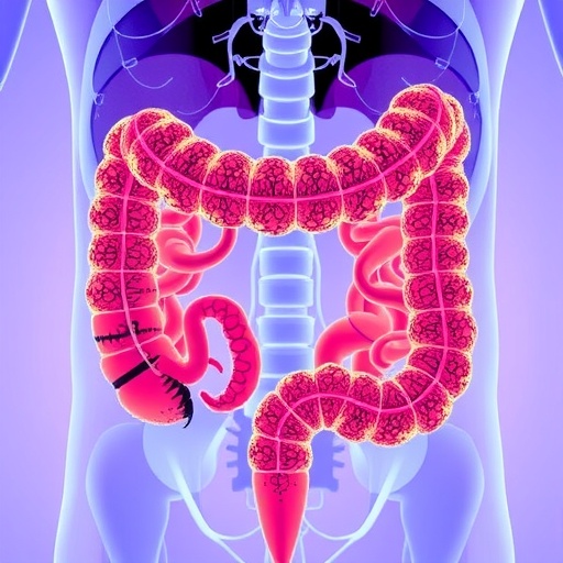 Innovative AI Model Enhances Efficiency in Analyzing Colorectal Cancer Samples — Mathematics