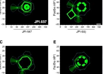 JPI-547 Outperforms Early PARP Inhibitors in BRCA Models — Cancer