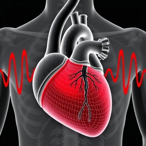 Kynurenic Acid Links Epicardial Fat to Atrial Dysfunction — Medicine