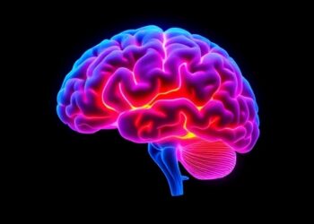 Lifespan Brain Development in Congenital Heart Disease — Technology and Engineering