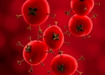 Lycopene from Tomatoes Protects Gut Cells Against Fungal Toxins — Medicine