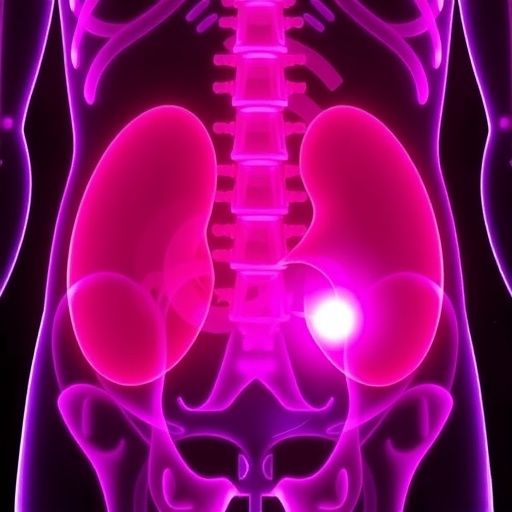 MIT Researchers Create Innovative Sensor for Earlier Bladder Cancer Detection — Technology and Engineering