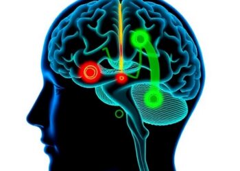 Machine Learning Enhances Dual-Target Deep Brain Stimulation — Medicine