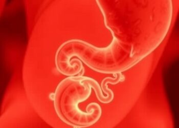 Mapping Human Embryo Genes Post-Gastrulation — Medicine