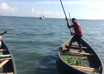 Marine Conservation’s Impact on Eastern Indonesia Livelihoods — Technology and Engineering