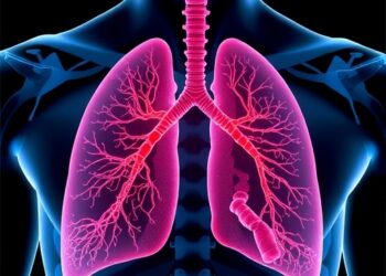 Mechanical Force Shapes Asthmatic Lung Tissue Remodeling — Medicine