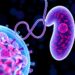 Metabolic Pathways and Cell Death in Diabetic Complications — Medicine