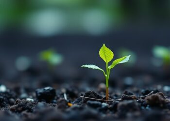 Microscopic Molecules Drive Major Advances in Soil Health — Earth Science