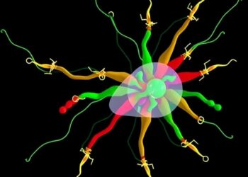 Minute-Scale Control Reveals Dynamics of Bacterial Effectors — Medicine