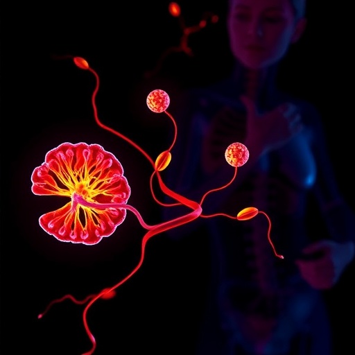 Mitochondrial l-2-Hydroxyglutarate Signals Cellular Metabolism — Medicine