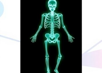 Molecular Skeleton Programming Advances Sulfur Electrode Design — Medicine