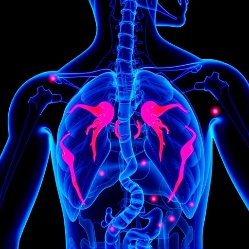 Muscle Mitochondria and Quality of Life in Prostate Cancer — Medicine