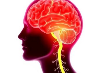 NIH-Funded Research Indicates Testosterone May Inhibit Brain Tumor Growth in Males — Cancer