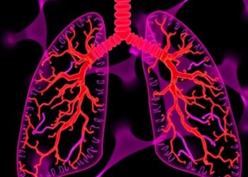 NUP62 Silencing Reverses Osimertinib Resistance in Lung Cancer — Cancer