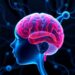 Neonatal Brain Wiring Linked to Early Autism Traits — Psychology & Psychiatry