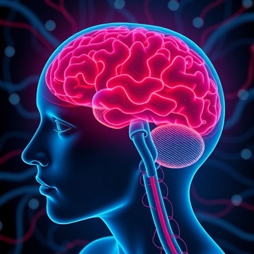 Neurovascular Coupling in Amygdala Influences Negative Emotions — Medicine