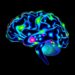 New Imaging Technique Simultaneously Maps Brain Activity in Nine Cell Types — Over Four Times the Previous Limit — Biology