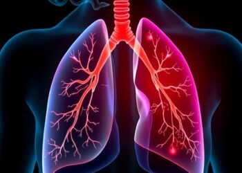 New Insights into How Smoking Causes Lung Stiffness — Biology