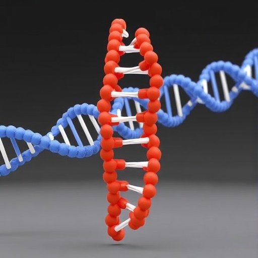 New Model Reveals DNA Packaging Dynamics During Replication — Chemistry