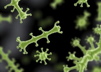 New Phages Uncover Resistance Genes in Dorea — Medicine