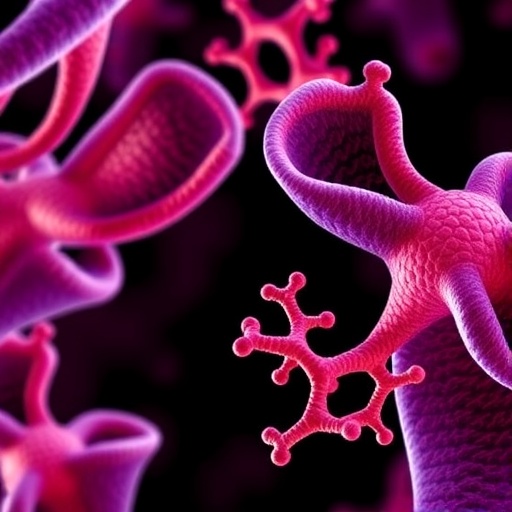 New Protein Discovery Sheds Light on Male Reproductive Aging — Biology