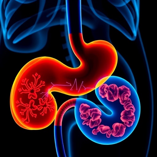 New Study Enhances Early Detection of Pancreatic Cancer in Patients with Low-Risk Pancreatic Cysts — Cancer