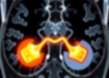 New Study Finds Urine Test Outperforms MRI in Monitoring Low-Risk Prostate Cancer — Cancer