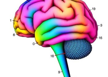 No Neural Feature Pre-Activation in Stimulus Prediction — Technology and Engineering