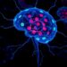 OFC Modularity Boosts Symptoms, Attention in Schizophrenia — Medicine