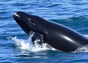 Pilot Whales Raise Their Voices to Overcome Noise Pollution — Marine