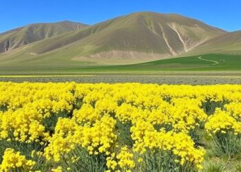 Poisonous Plant Spread Threatens Qinghai-Tibetan Grasslands — Earth Science