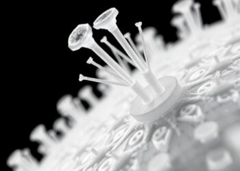 Polymer ‘Bristles’ Offer New Way to Repel Proteins and Germs on Medical Surfaces — Technology and Engineering