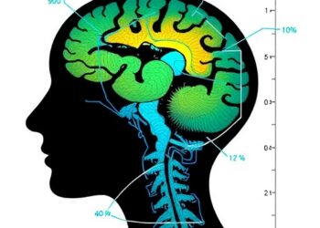Predicting Psychosis and Mortality in Substance-Induced Cases — Social Science