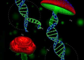 Psilocybin Alters DNA Methylation in Alcohol Disorder — Psychology & Psychiatry