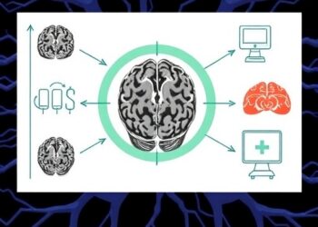 Rapid, Robust Platform for Personalized Neuromodulation Targeting — Medicine