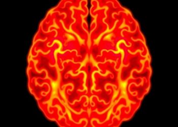 Reprogramming Glioblastoma Temozolomide Response via Cell Death — Medicine