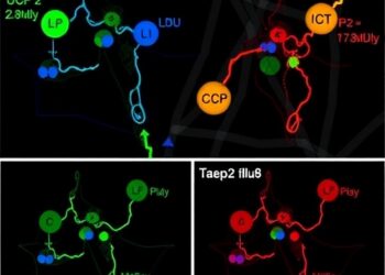 Reprogramming Metabolism by Targeting UCP2 Halts Leukemia Progression — Cancer