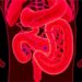 Rhein Alleviates Intestinal Damage in Severe Acute Pancreatitis by Modulating Macrophage Activation via PPARγ — Biology