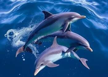 Scientists Can Now Monitor America’s Dolphin Populations Using DNA Floating in Seawater — Biology